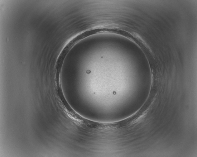 X0000060790830200511101416