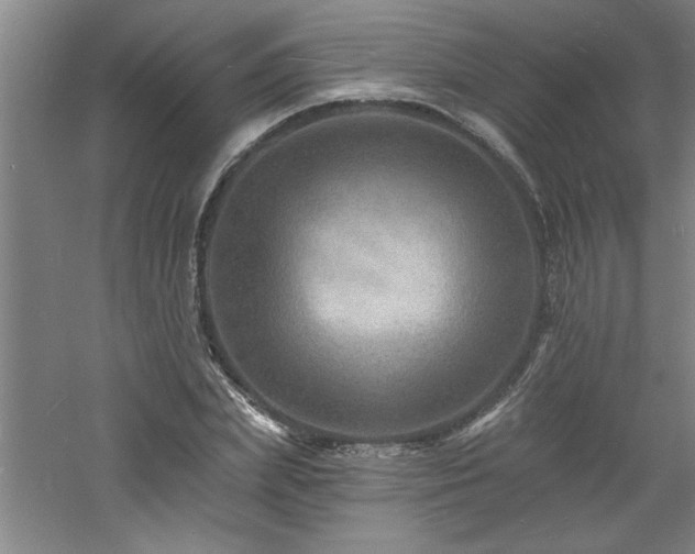 X0000060790831200511101416