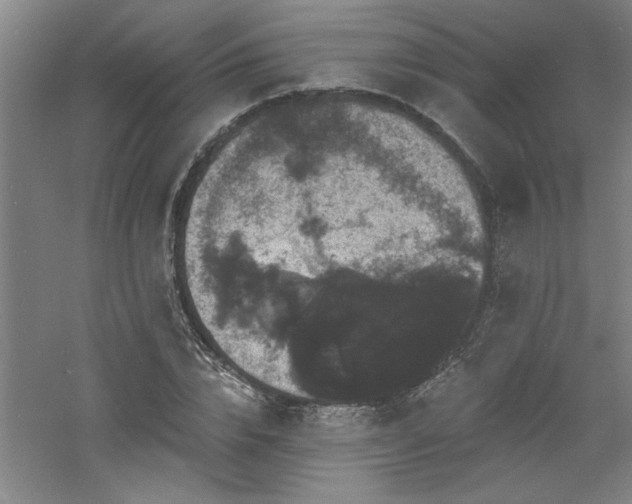 X0000060790832200511101416