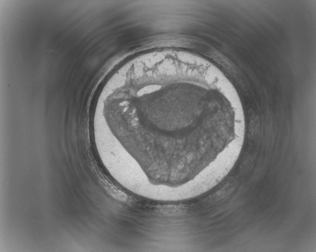 X0000060790836200511101416