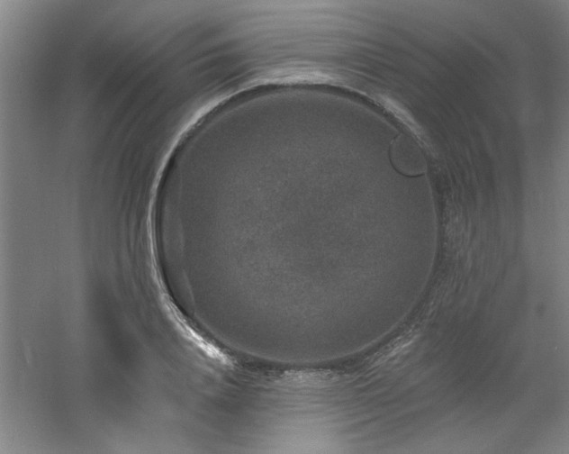 X0000060790840200511101416