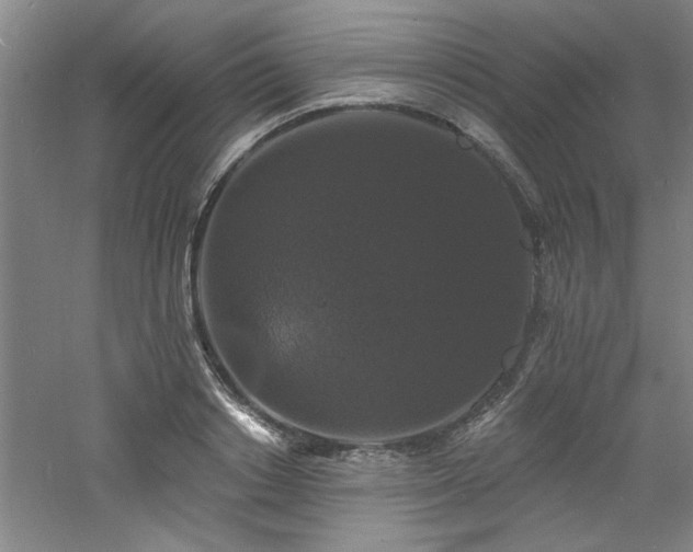 X0000060790842200511101416