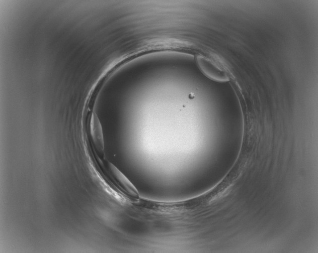 X0000060790843200511101416