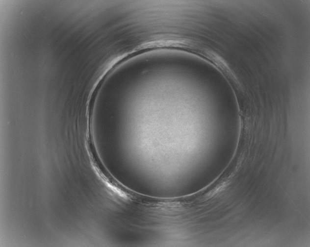 X0000060790844200511101416