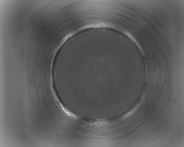 X0000060790845200511101416