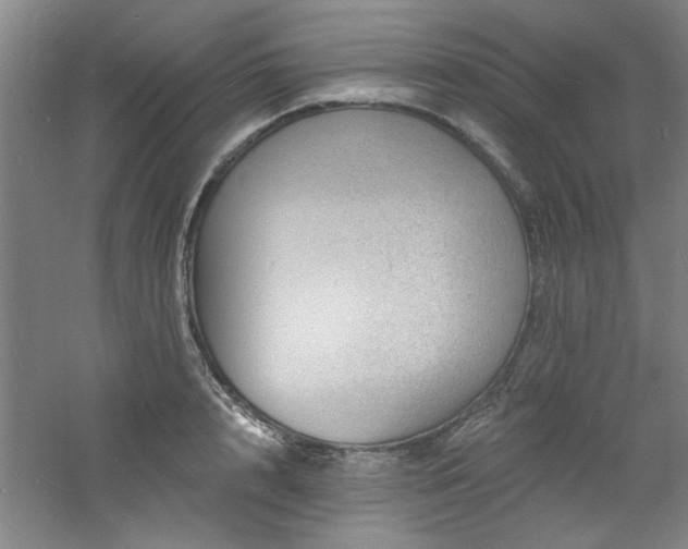 X0000060790848200511101416