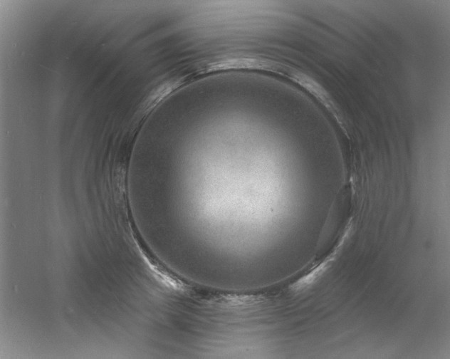 X0000060790849200511101416