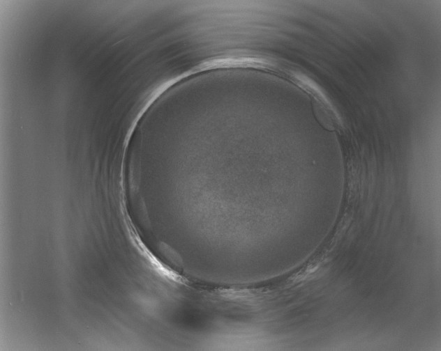 X0000060790852200511101416