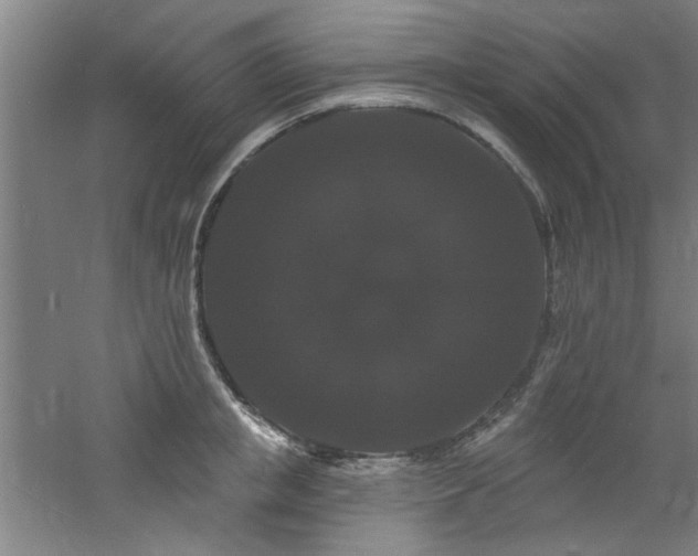 X0000060790853200511101416