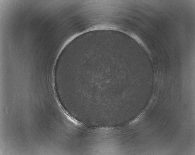 X0000060790854200511101416