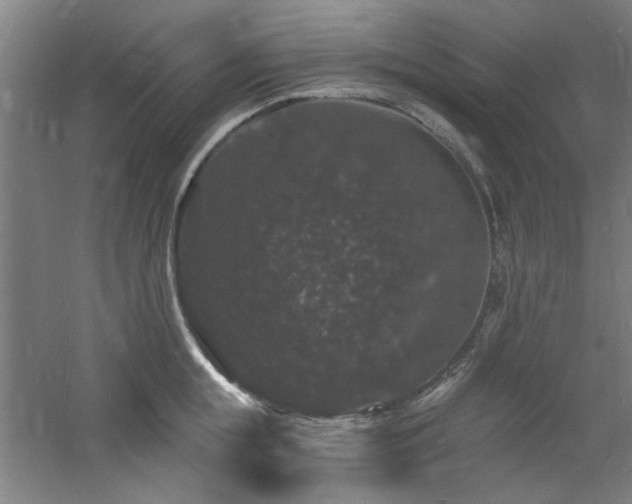 X0000060790855200511101417