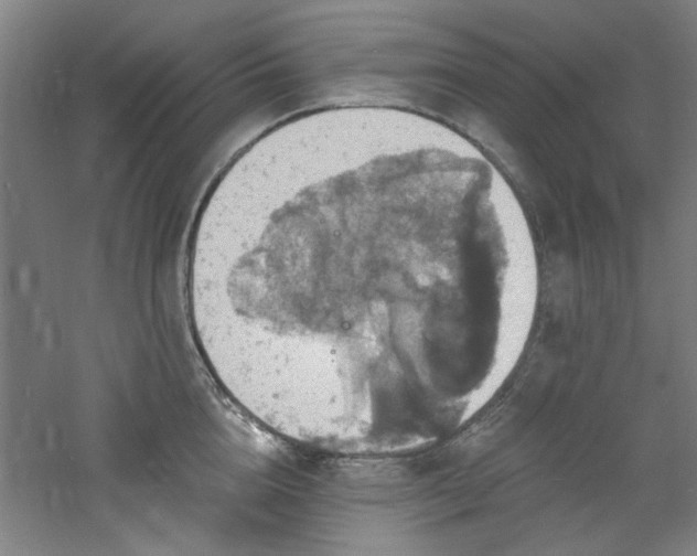 X0000060790856200511101417