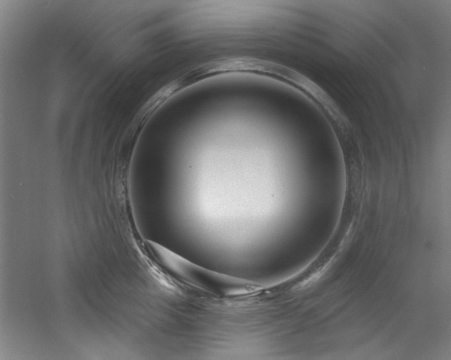 X0000060790857200511101417