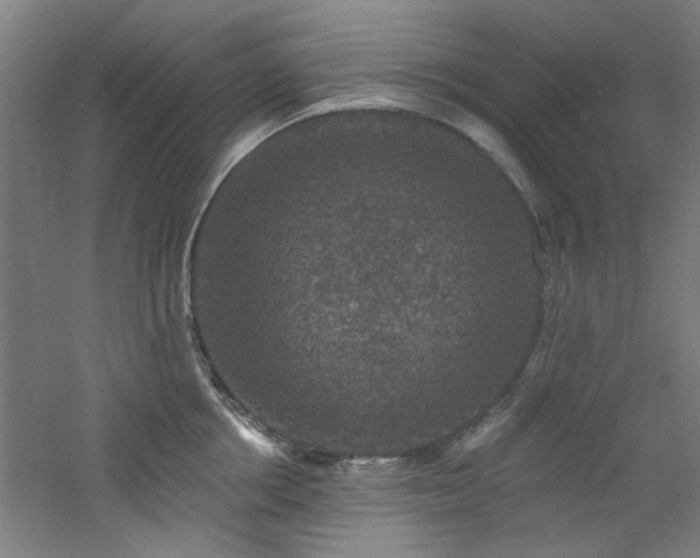 X0000060790858200511101417