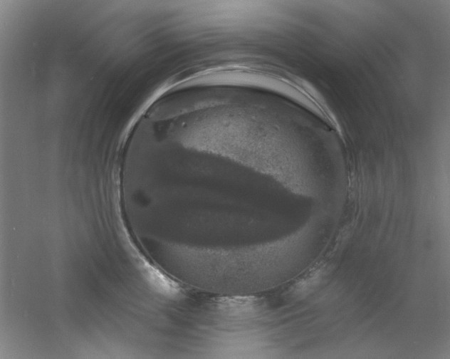 X0000060790859200511101417