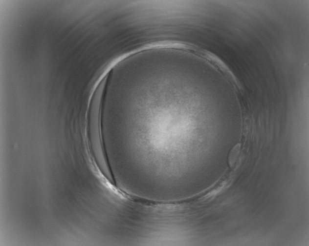 X0000060790860200511101417