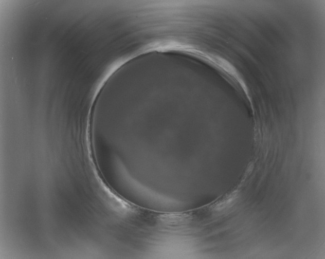 X0000060790863200511101417