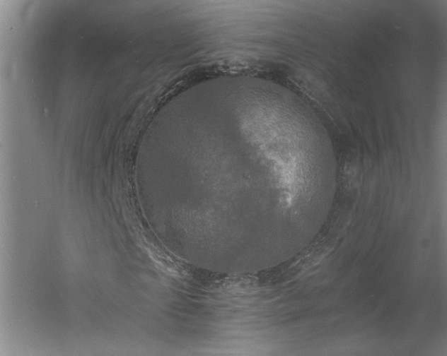 X0000060790865200511101416