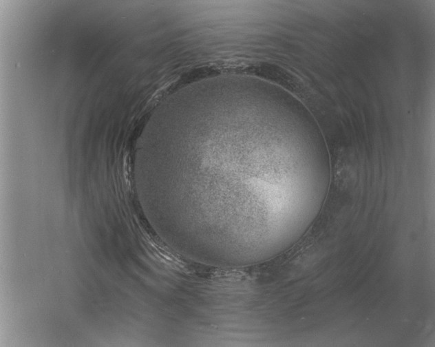 X0000060790866200511101416