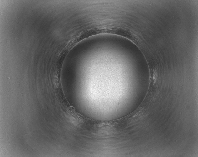 X0000060790867200511101416