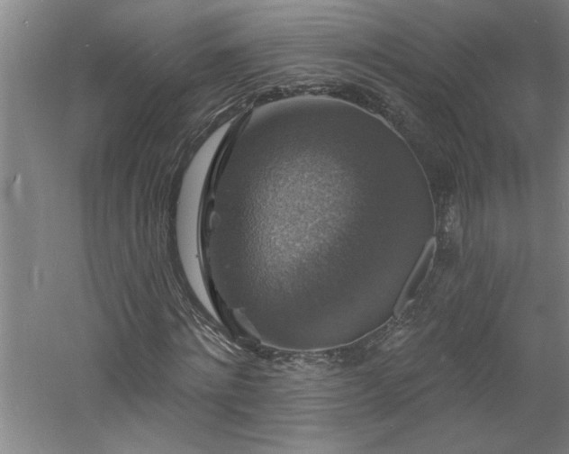 X0000060790868200511101416