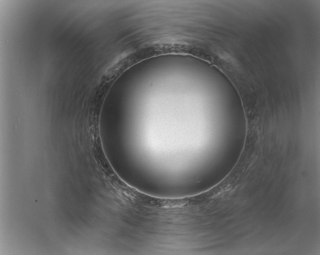 X0000060790870200511101416