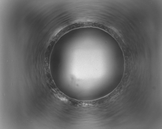 X0000060790871200511101416