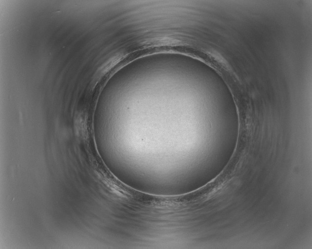 X0000060790873200511101416