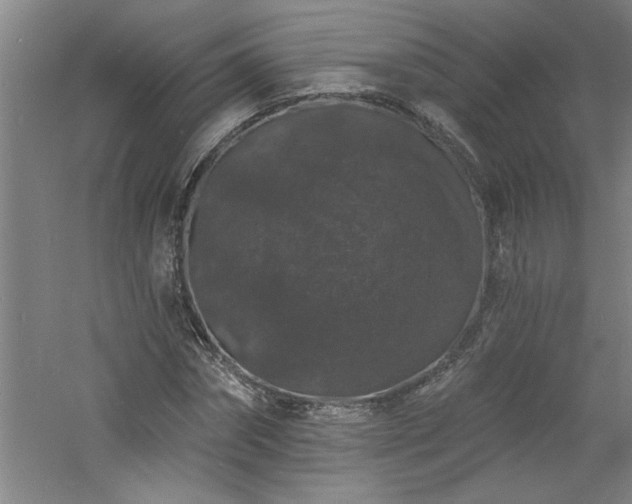 X0000060790874200511101416