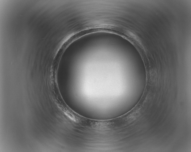 X0000060790875200511101416