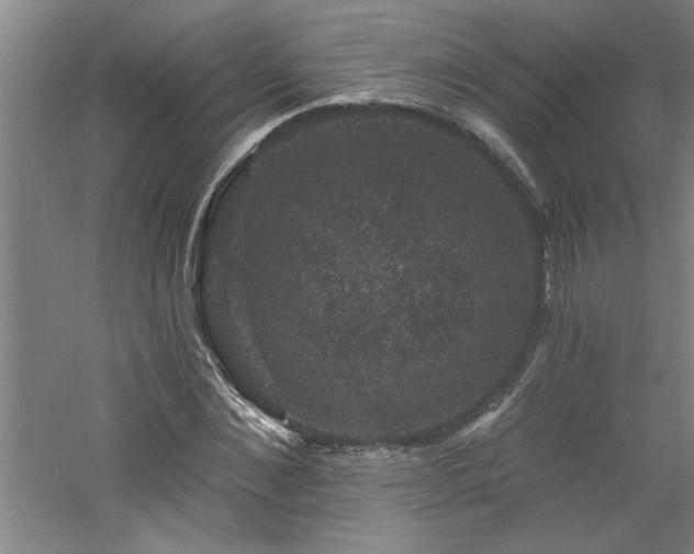 X0000060790876200511101416