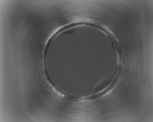 X0000060790877200511101416