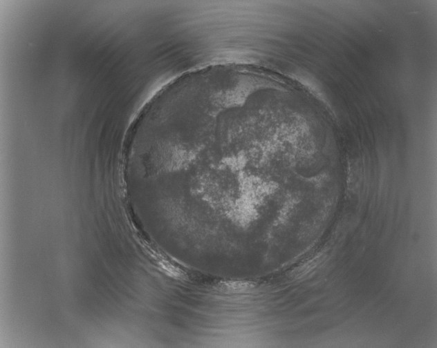 X0000060790878200511101416