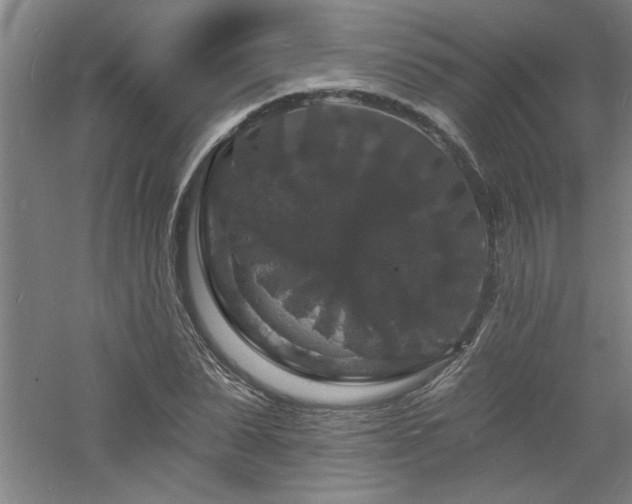 X0000060790879200511101416