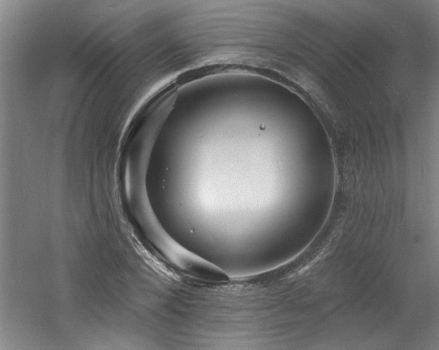 X0000060790880200511101416