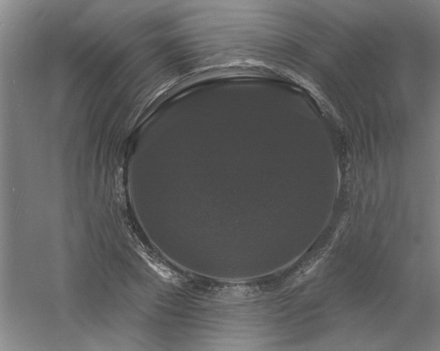 X0000060790881200511101416