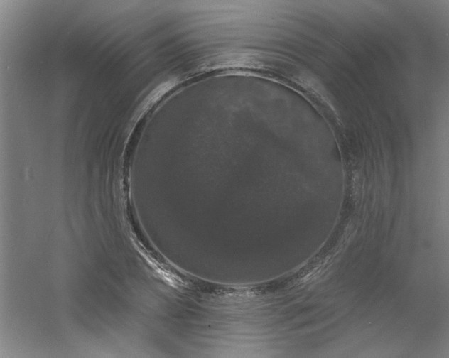 X0000060790882200511101416