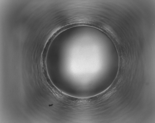 X0000060790883200511101416