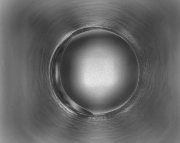 X0000060790884200511101416