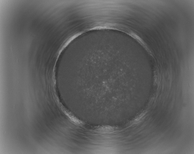 X0000060790885200511101415