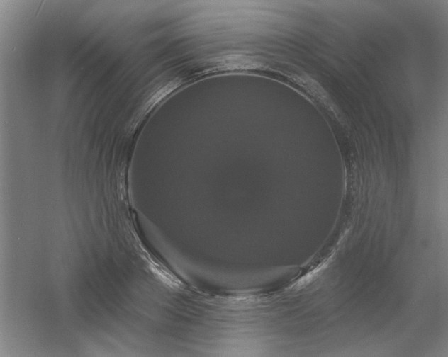 X0000060790889200511101415