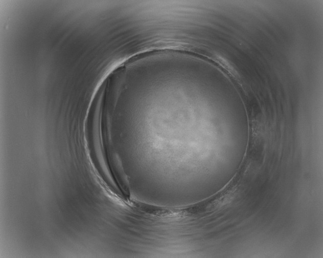 X0000060790891200511101415