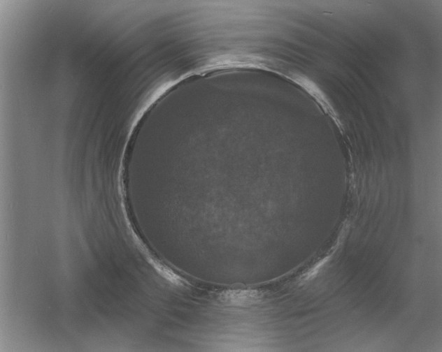 X0000060790893200511101415