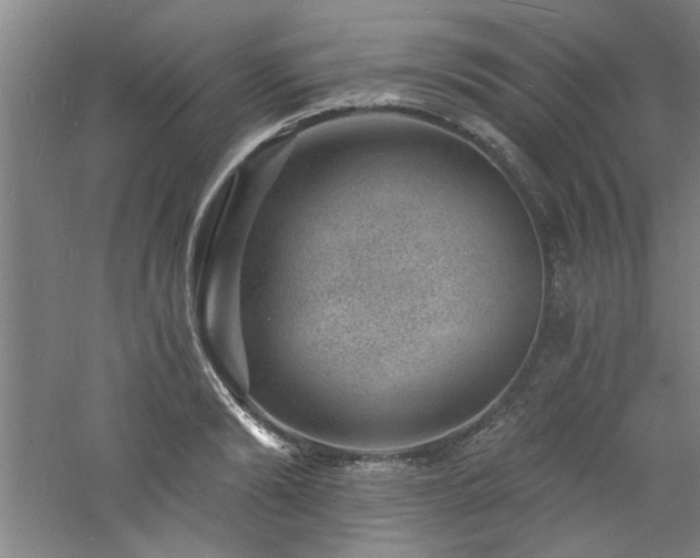 X0000060790894200511101415