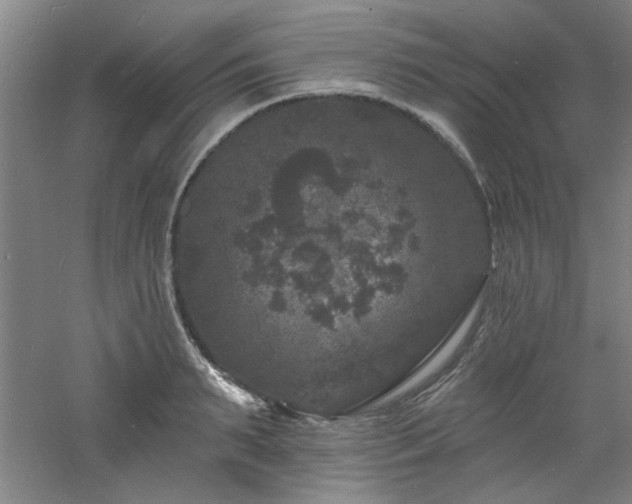 X0000060790895200511101415