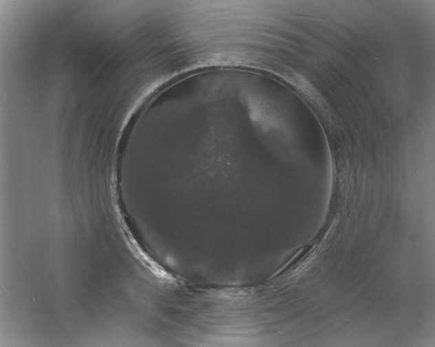 X0000060790896200511101415