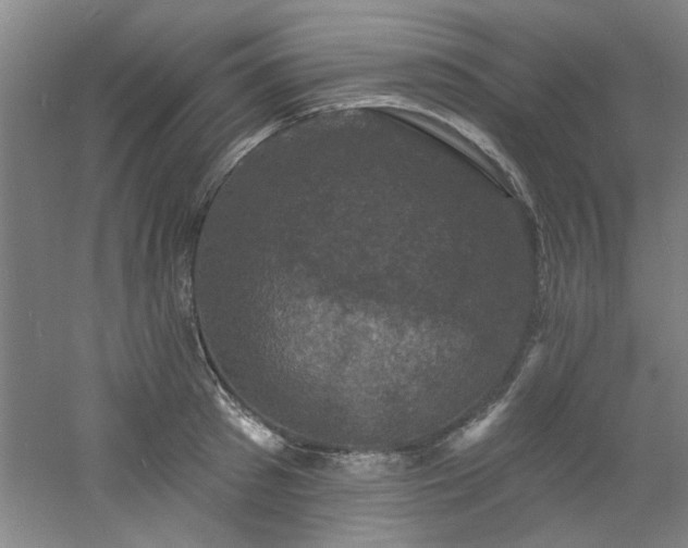 X0000060790897200511101415