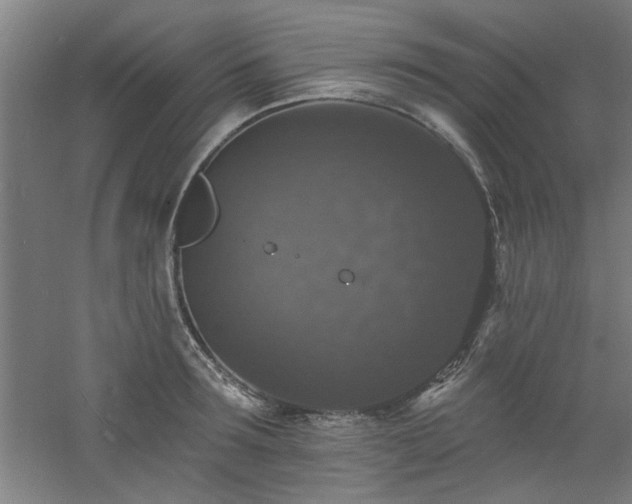 X0000060790899200511101415