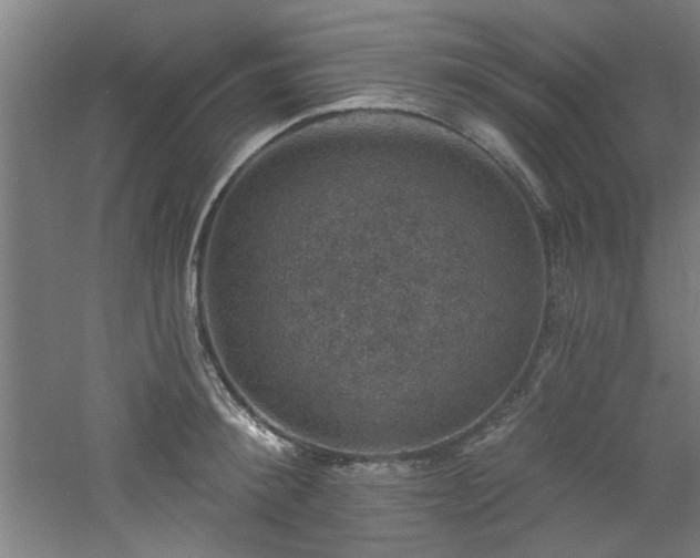 X0000060790900200511101415