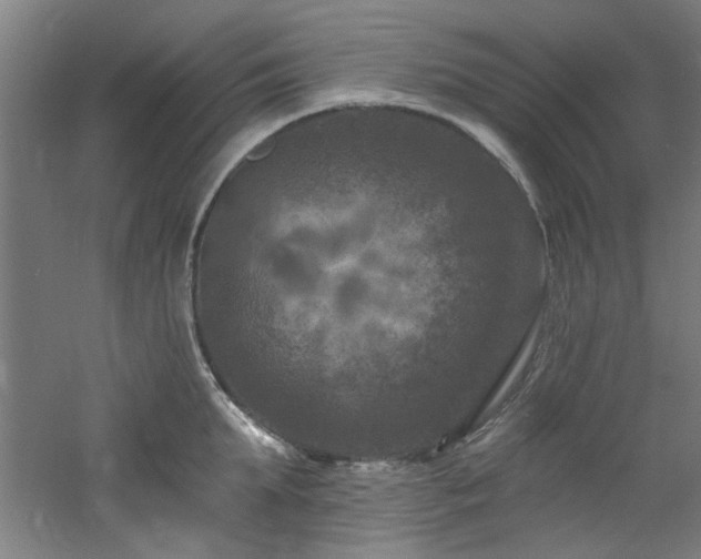 X0000060790903200511101415